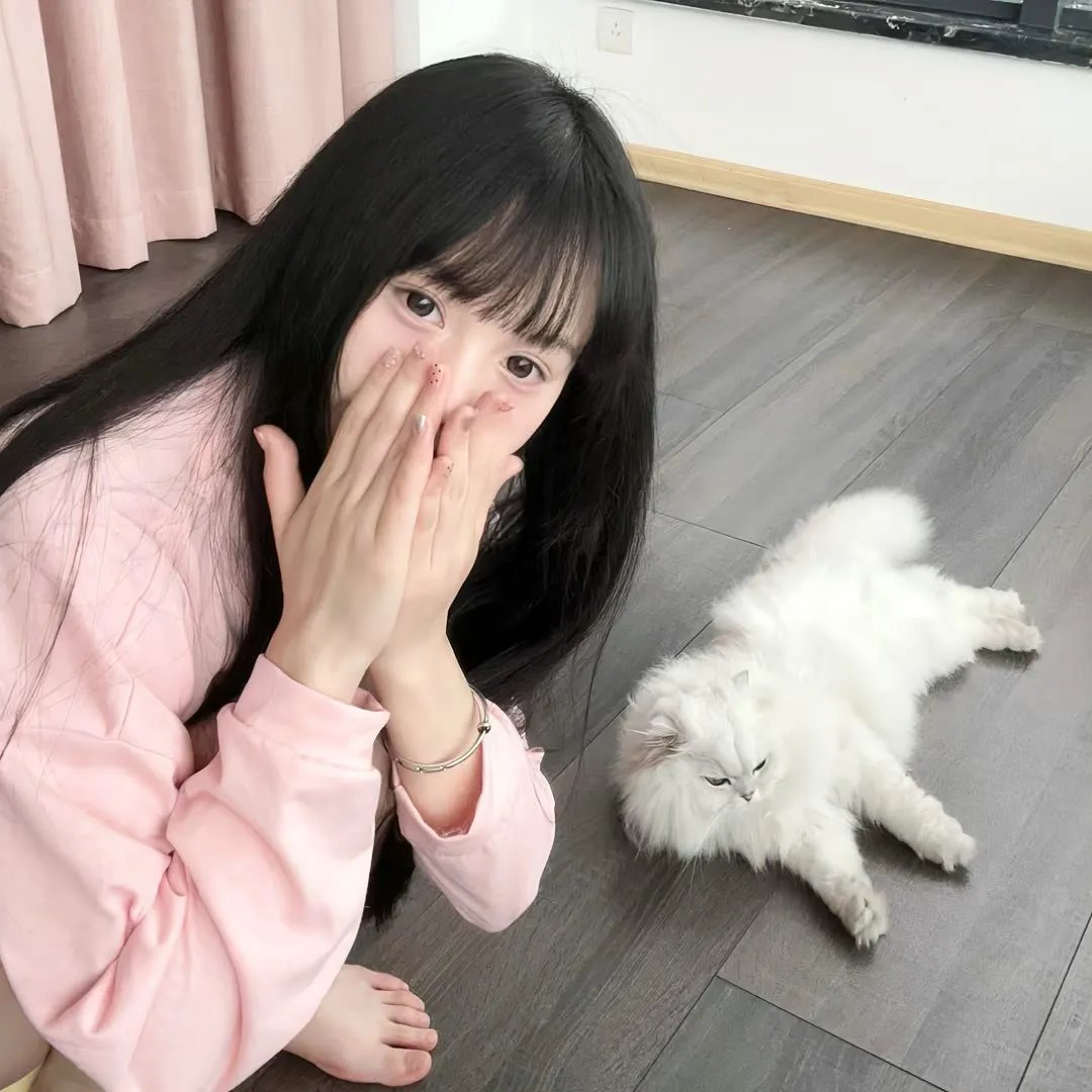 蝴蝶公墓