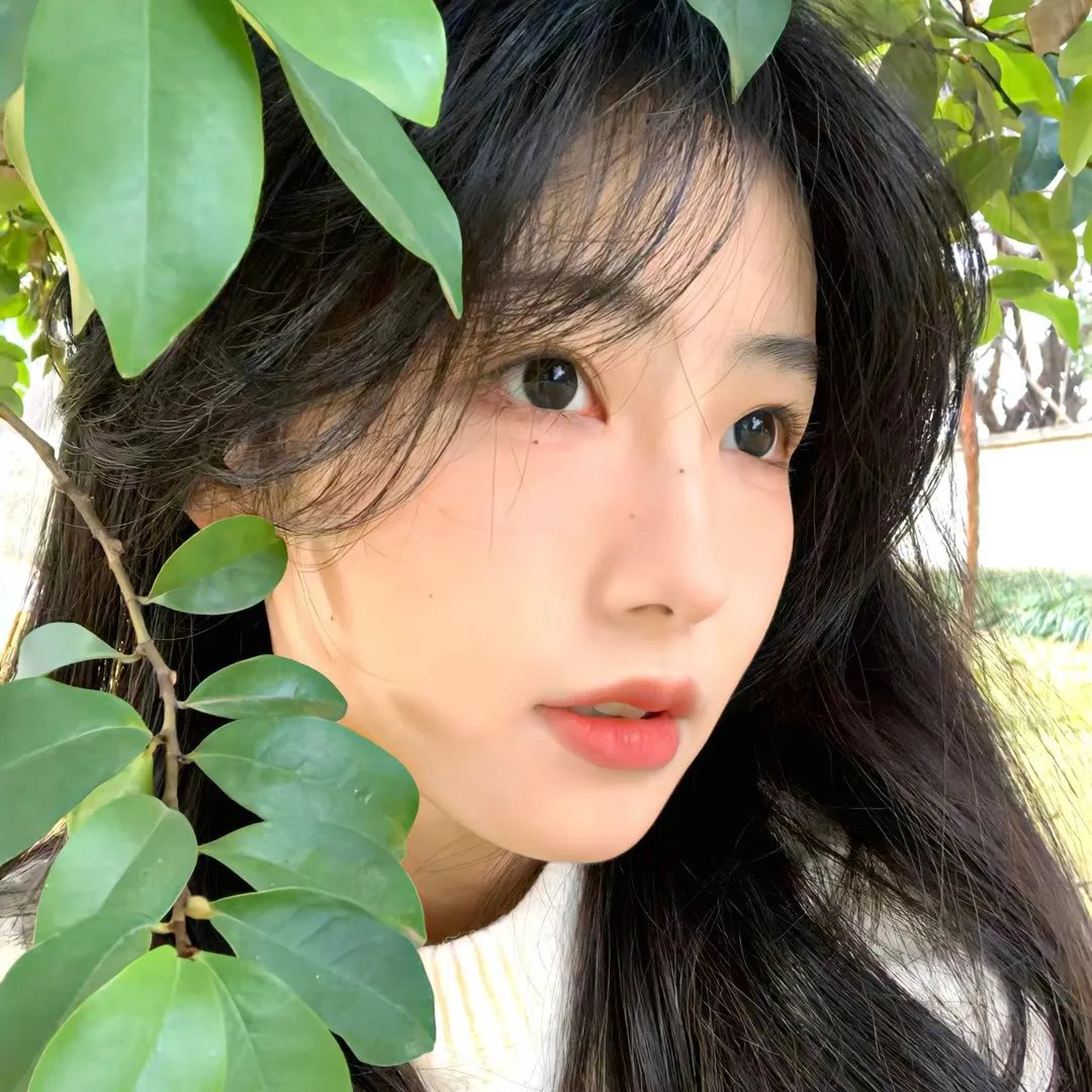 奇幻森林之兽语小子