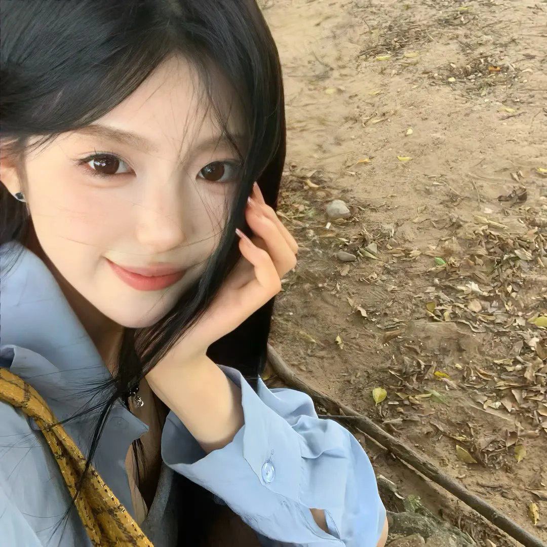 灵通汪星人